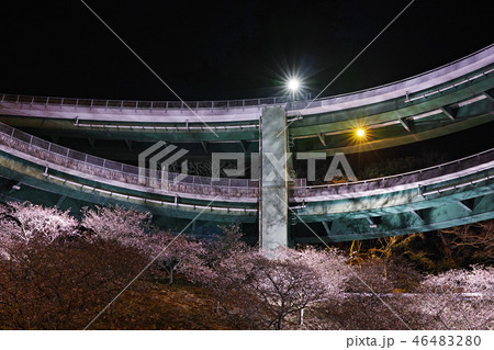 【静岡県】河津七滝ループ橋の夜景と桜ライトアップ 46483280