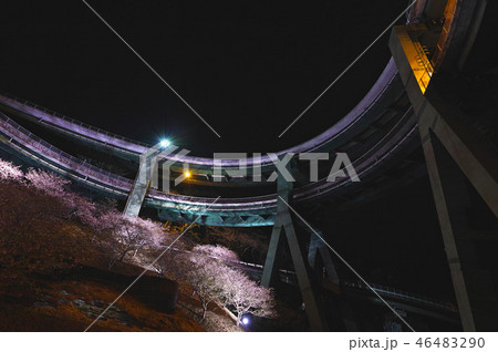 【静岡県】河津七滝ループ橋の夜景と桜ライトアップ 【静岡県】河津七滝ループ橋の夜景と桜ライトアップ 46483290