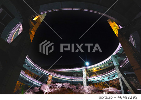 【静岡県】河津七滝ループ橋の夜景と桜ライトアップ 46483295