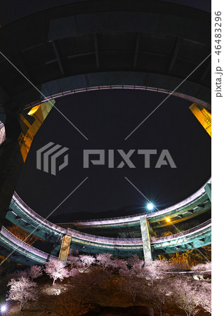 【静岡県】河津七滝ループ橋の夜景と桜ライトアップ 46483296