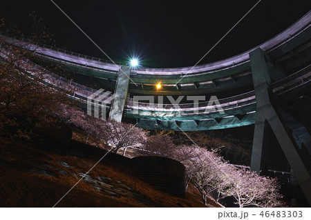 【静岡県】河津七滝ループ橋の夜景と桜ライトアップ 46483303