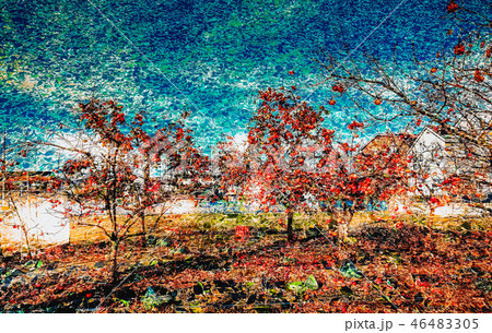 空と柿の木の背景画像 空と柿の木の背景画像 46483305