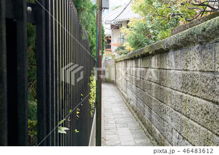 泉岳寺の細道 泉岳寺の細道 46483612