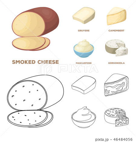 Gruyere, camembert, mascarpone, gorgonzola.Different types of cheese set collection icons in cartoon 46484056
