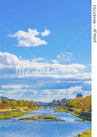 京都 初秋の鴨川風景 京都 初秋の鴨川風景 46484701