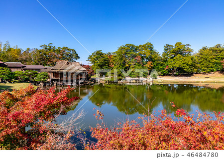 玄宮園の臨地閣と七間橋 紅葉 46484780