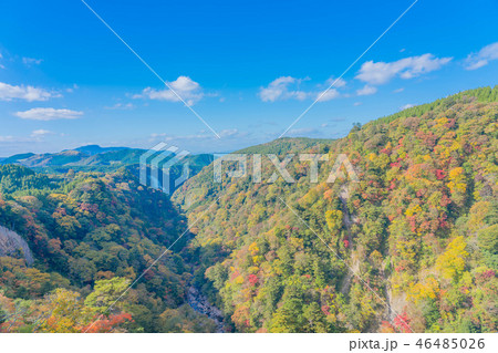 紅葉 青空 夢吊り大橋 紅葉 青空 夢吊り大橋 46485026