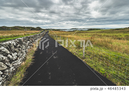 Asphalt road along the fields. Northern Ireland. 46485343