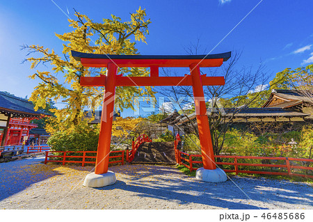 京都 下鴨神社 秋の境内風景の写真素材