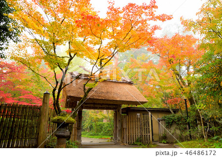 秋の湯布院 46486172