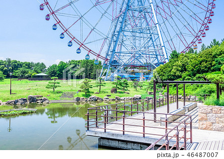 東京　夏の葛西臨海公園 46487007