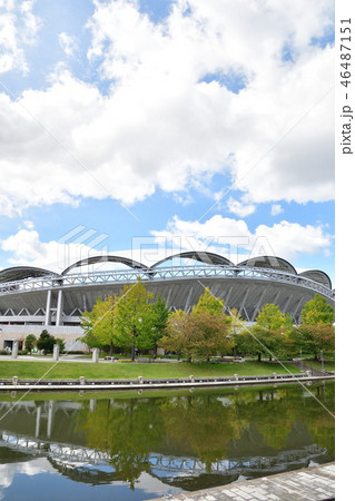 秋のビッグスワン（新潟県） 46487151