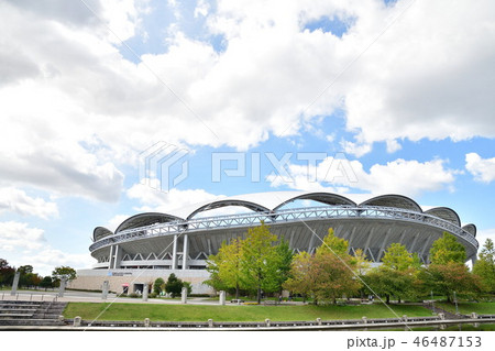 秋のビッグスワン（新潟県） 46487153