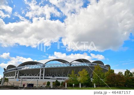 秋のビッグスワン（新潟県） 46487157