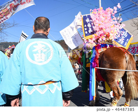 鹿児島神宮の初午祭の華やかな鈴かけ馬 46487385