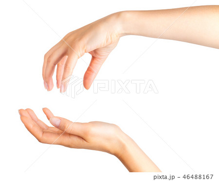 Set of women hands taking or showing something 46488167