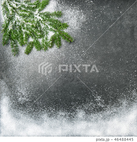 Christmas tree branches snow holidays background 46488445