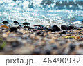 Waves washing over gravel beach, macro shot with narrow focus background 46490932