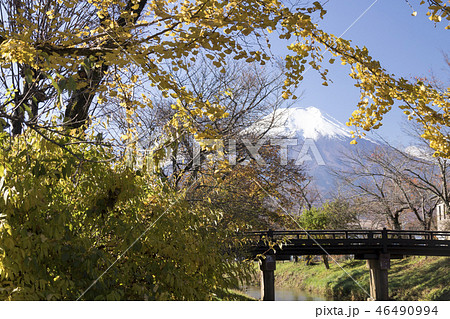 忍野八海 46490994