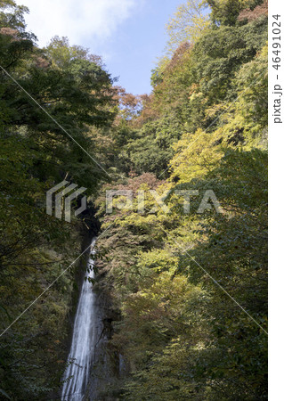 酒水の滝 46491024