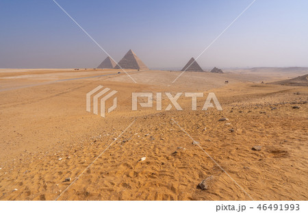 Pyramids of Giza near Cairo Egypt 46491993