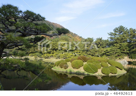杜鵑嶼(とけんしょう)・恋ツツジ・南湖(栗林公園/香川県高松市) 杜鵑嶼(とけんしょう)・恋ツツジ・南湖(栗林公園/香川県高松市) 46492613