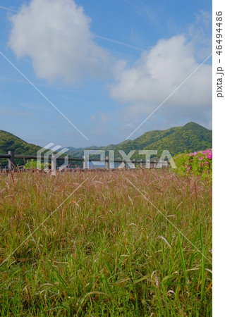 若松大橋その1 若松大橋その1 46494486