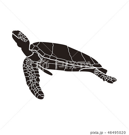 Turtle Silhouette Stock Illustration
