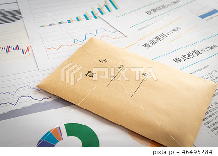 賞与　ボーナス　資産運用　賞与袋　封筒　使い道　運用　グラフ 46495284