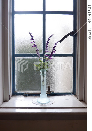 横浜山手西洋館　ベーリック・ホール 46495385