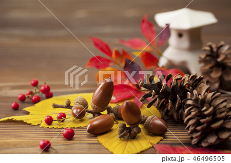 秋イメージ 秋イメージ 46496505