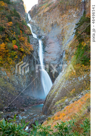 秋の称名滝 46496541