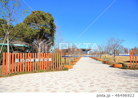 辰巳の森海浜公園 江東区 辰巳の森海浜公園 江東区 46496922