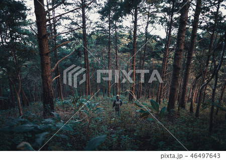 Mountain view Daytime countryside Tourist 46497643