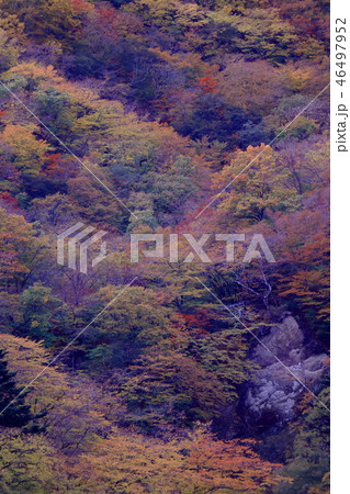 朝日が照らす前の秋の山 46497952