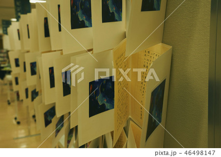 感想文 展示 感想文 展示 46498147