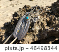 沖縄の海辺に輝くアクセサリー 46498344