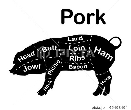 Meat cuts - pork. Diagrams for butcher shop.... - Stock Illustration  [46498494] - PIXTA