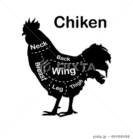 Meat cuts - chicken. Diagrams for butcher shop. Scheme of chicken. Animal silhouette chicken. Guide 46498498