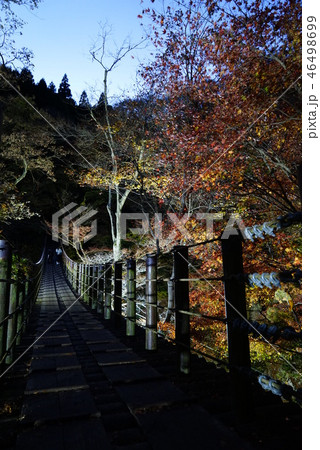 花貫渓谷 汐見滝吊り橋 花貫渓谷 汐見滝吊り橋 46498699
