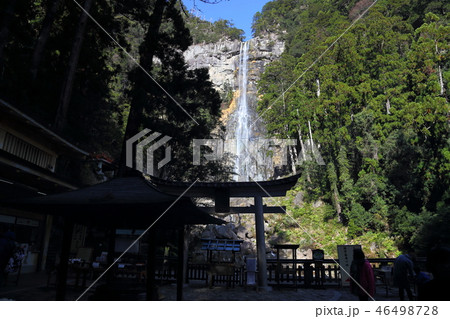 那智滝 (日本三名瀑・落差日本一)　和歌山県那智勝浦町 46498728