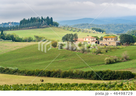 Landscape in Chianti region in province of Siena 46498729