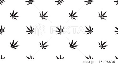 Marijuana seamless pattern cannabis vector weed Marijuana seamless pattern cannabis vector weed 46498836