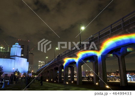スマートイルミネーション横浜 象の鼻パーク スマートイルミネーション横浜 象の鼻パーク 46499433