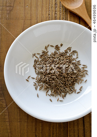 クミン クミン 46499696