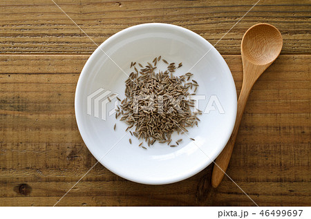 クミン クミン 46499697