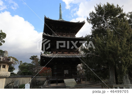 道成寺 三重塔 道成寺 三重塔 46499705