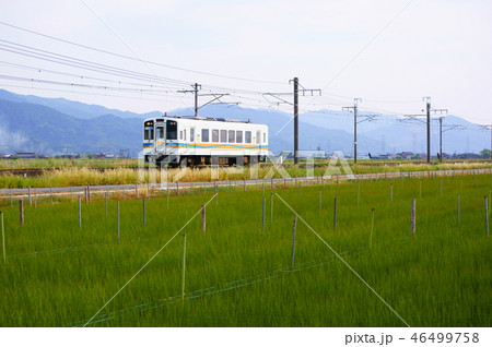 イグサ畑の横を快走する肥薩おれんじ鉄道直通快速「スーパーおれんじ」 46499758
