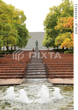 大学キャンパス 大学キャンパス 46499831