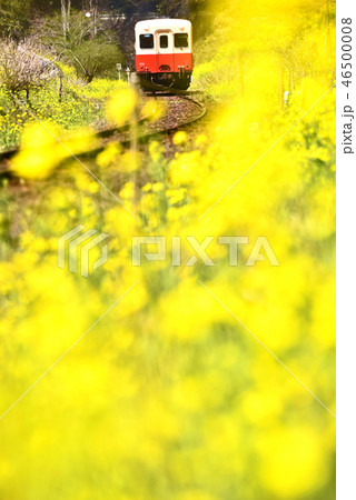 いすみ鉄道菜の花列車 46500008